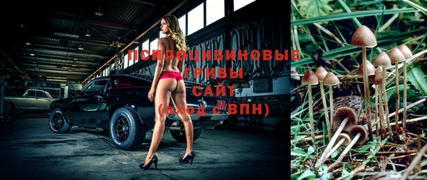 бошки Магас