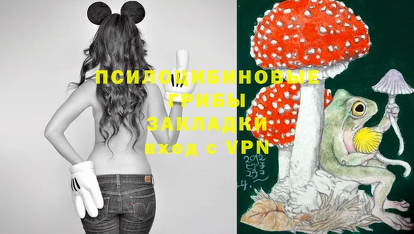 бошки Магадан