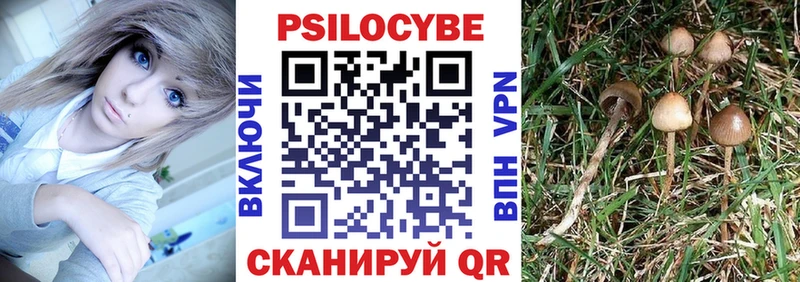Галлюциногенные грибы Cubensis  Заволжск 